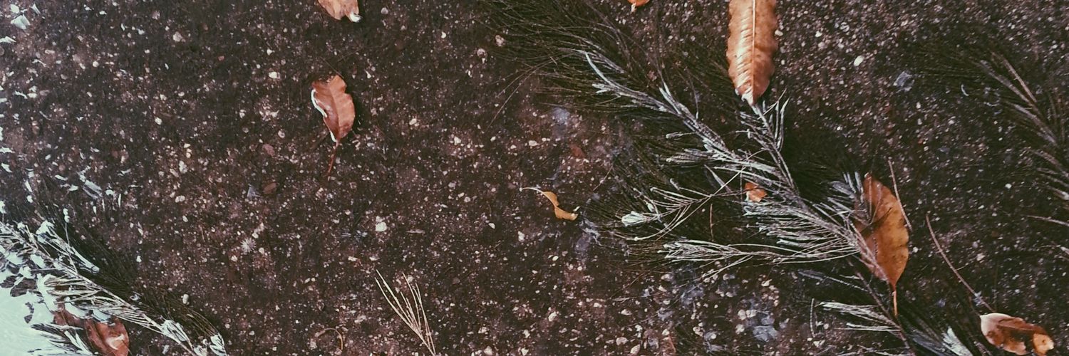 ericlau115's profile banner image
