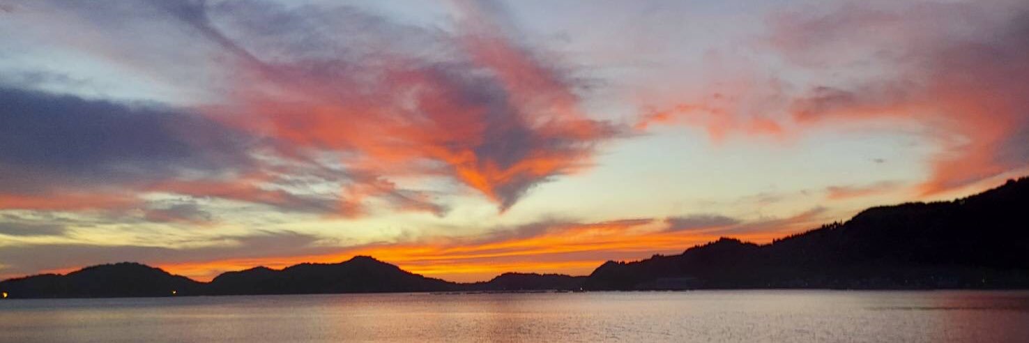 情家みえMie Joke banner