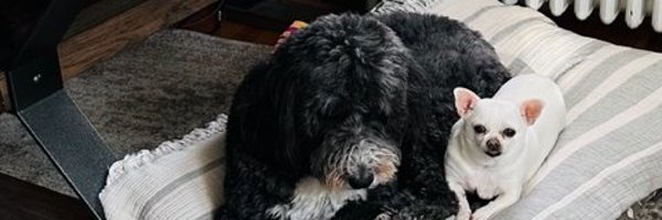 boomerbayb Profile Banner