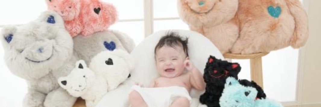 ねこさん🐾 banner