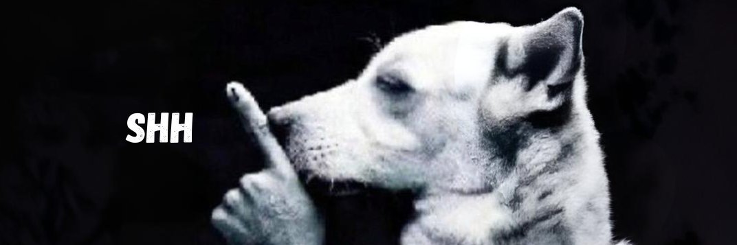 Shh Dog banner
