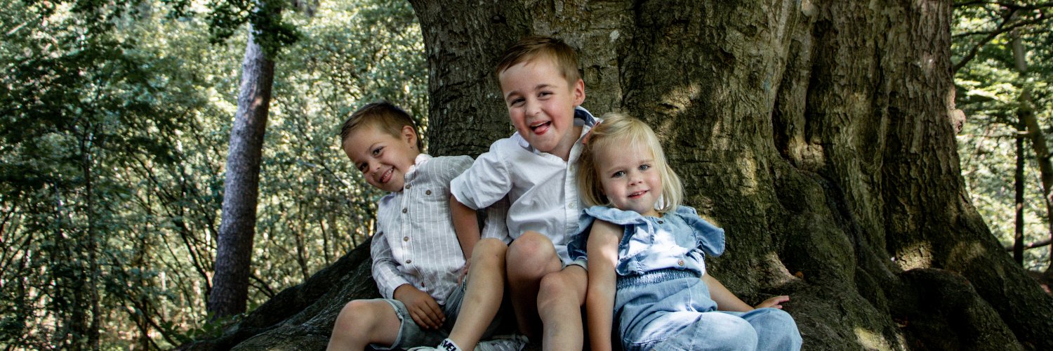 SLKerstens's profile banner image