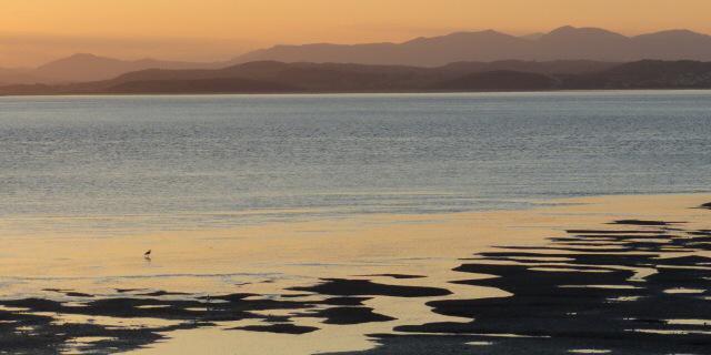 norasrose's profile banner image