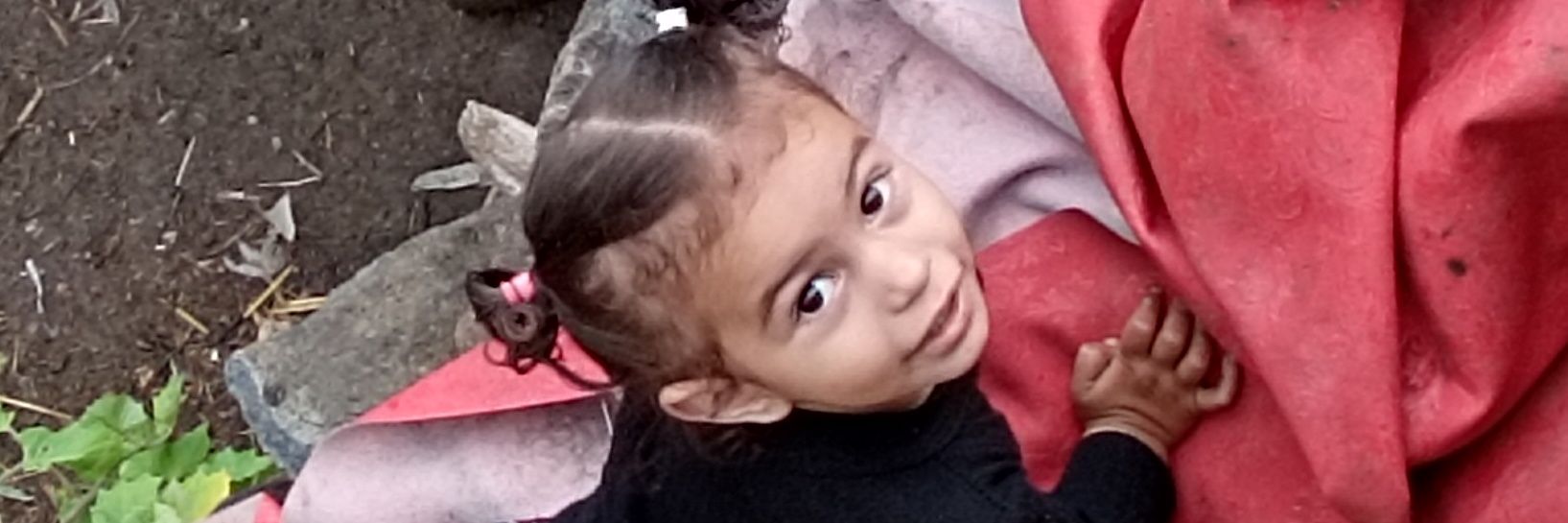 أمير ذوق banner