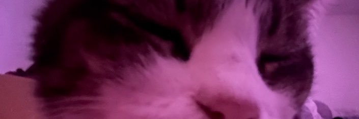 xannymeows's profile banner image
