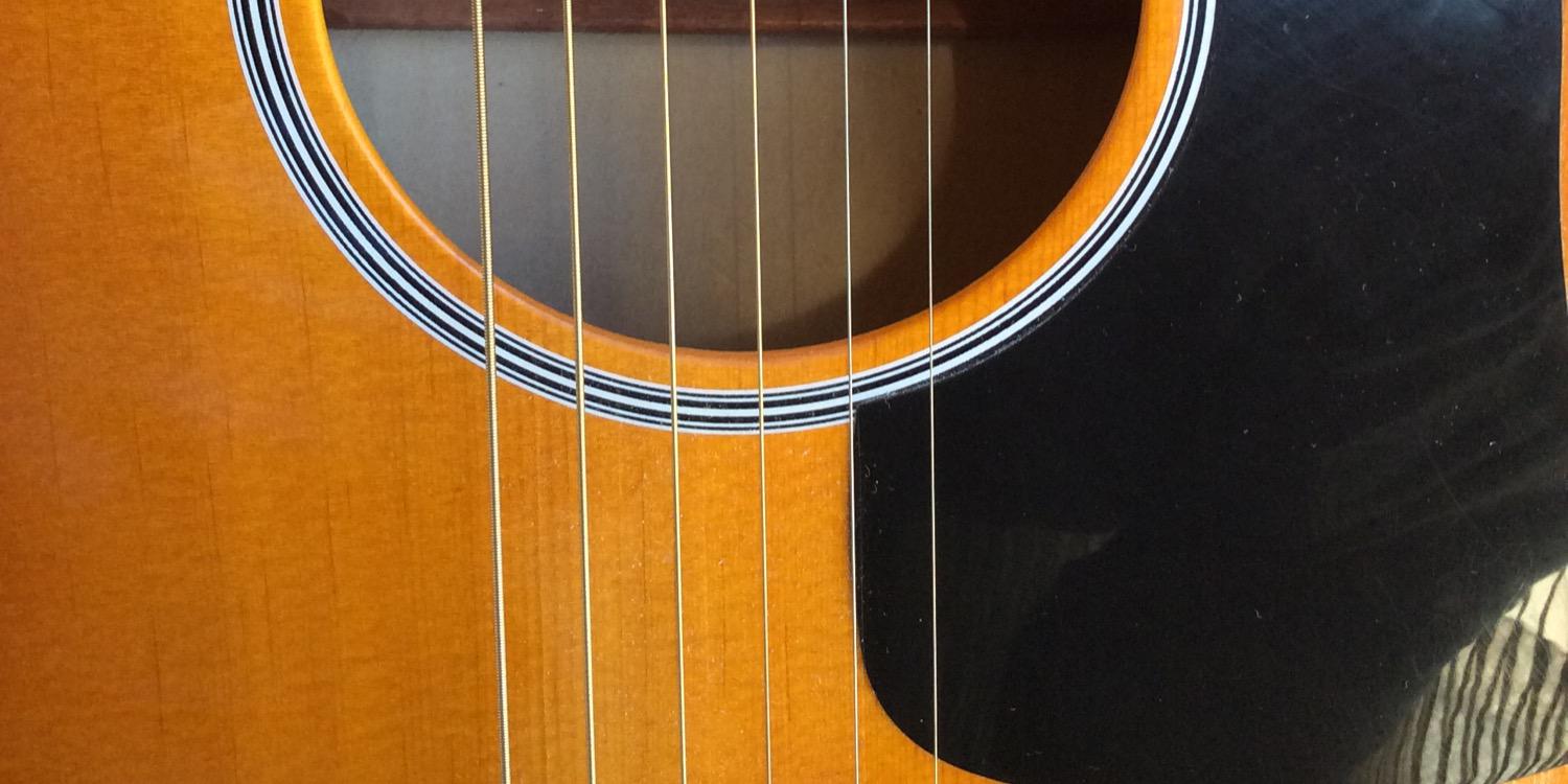 Miquel Bioque banner