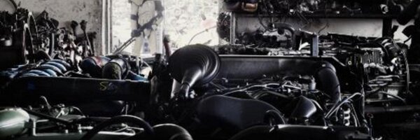 danasissons Profile Banner