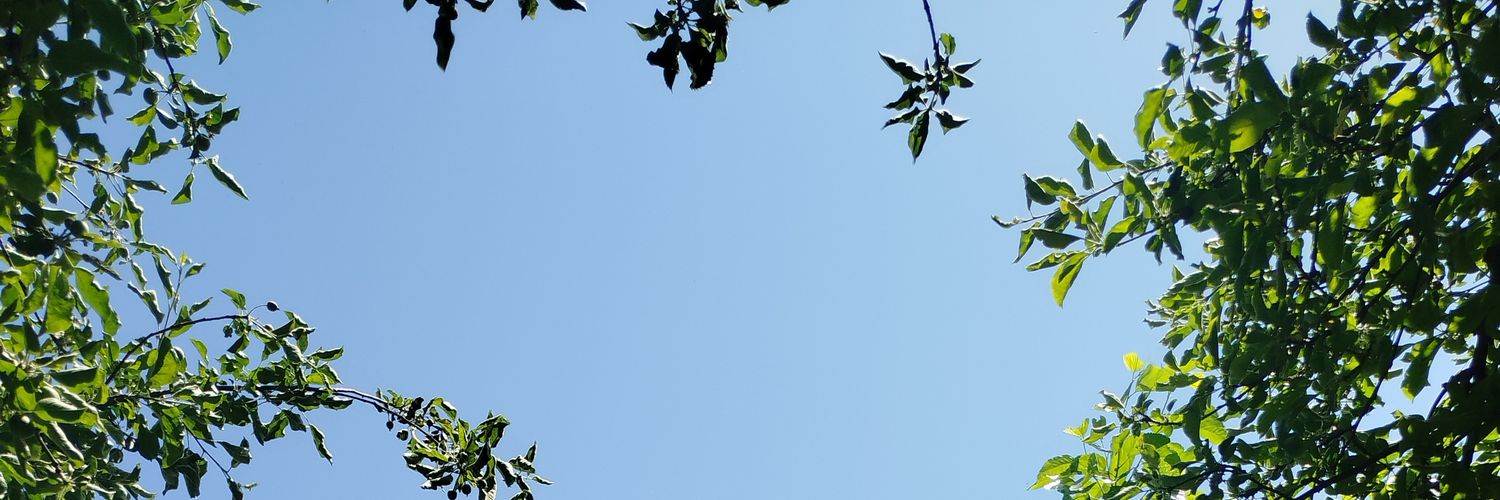 ozbayse's profile banner image