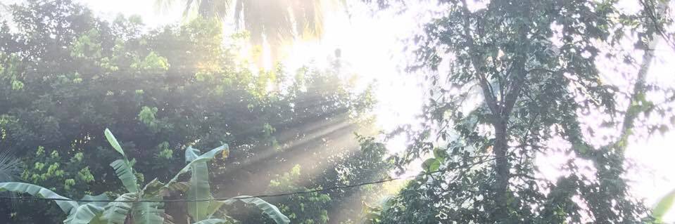 latifborgiva's profile banner image