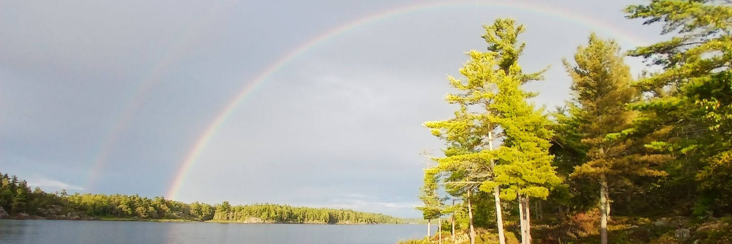 LiberateP86381's profile banner image