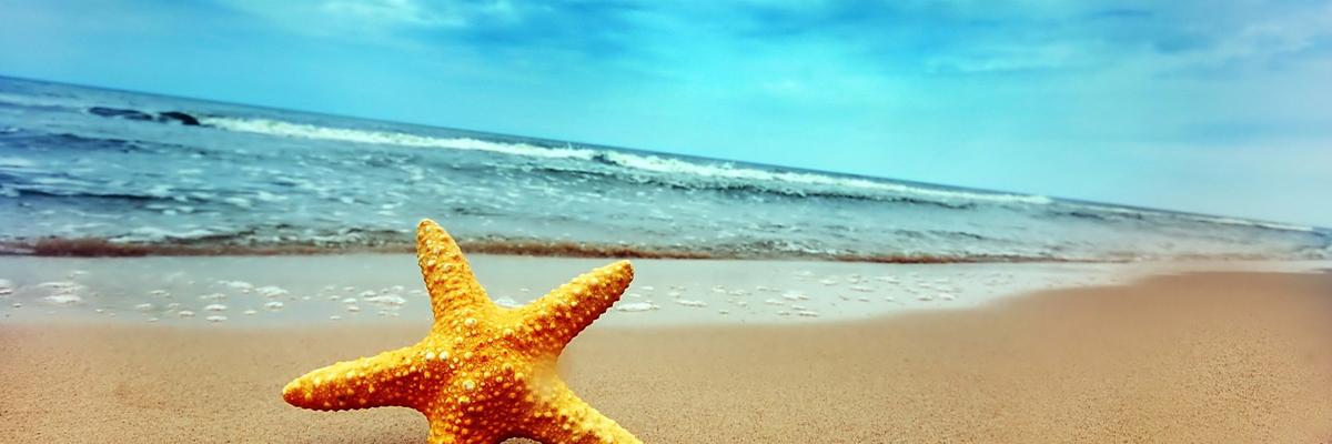 AndreaIsabelFL's profile banner image