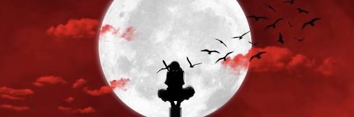 Z1nuh banner