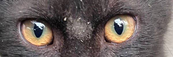 So0gandd Profile Banner