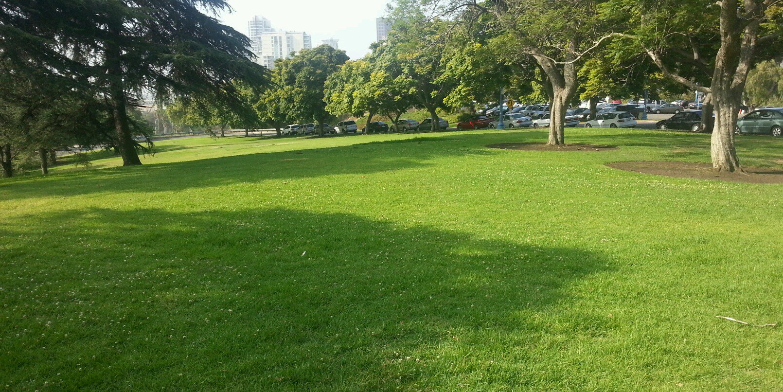 Dr.abdulmuhsen alghtani banner