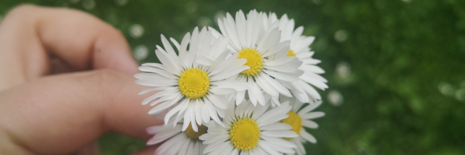 herzxkaro's profile banner image