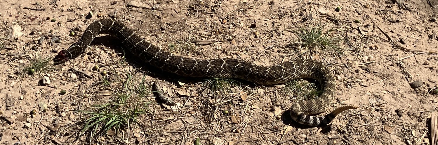 Jay The Epitomizer banner