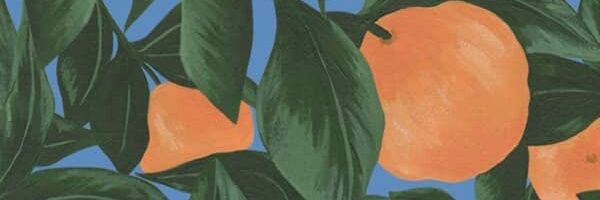 clairskyeee's profile banner image