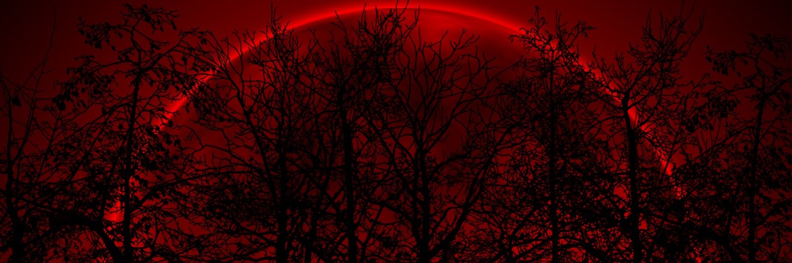 SanguineIntent's profile banner image