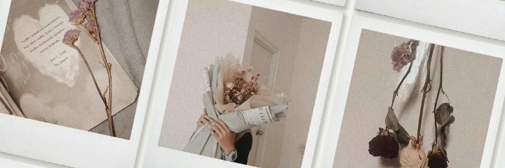 intaaand_'s profile banner image