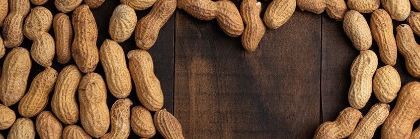 peanut of shedtwt || follow limit banner