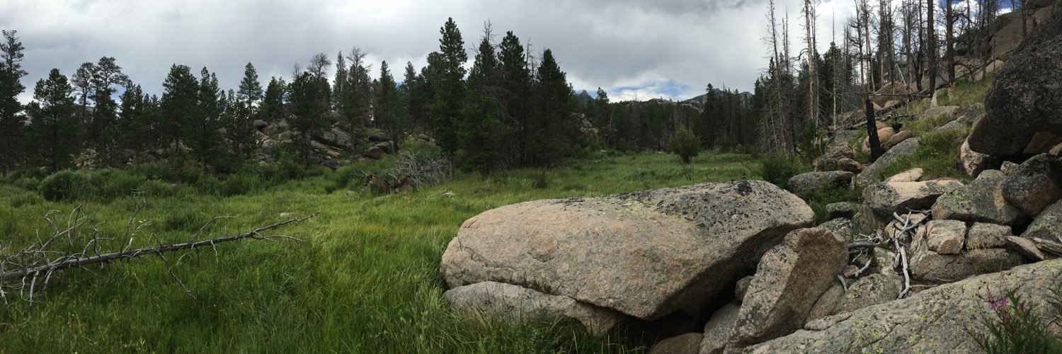 FerrisRN's profile banner image