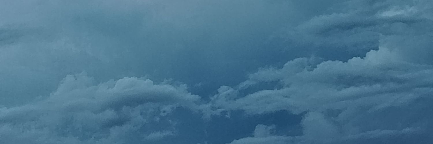 SilviaTSLB's profile banner image