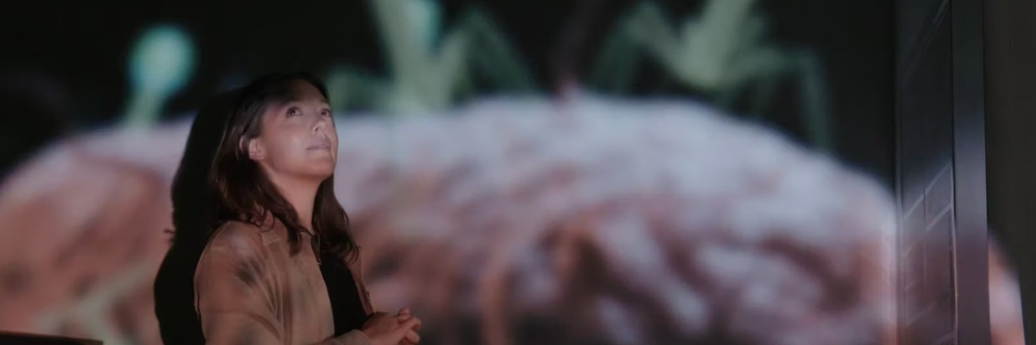 Tiffany Taylor banner