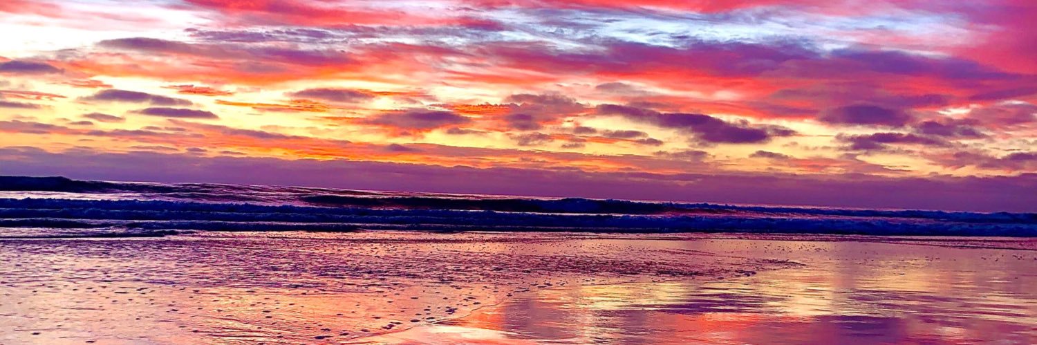 Patrick Banta banner