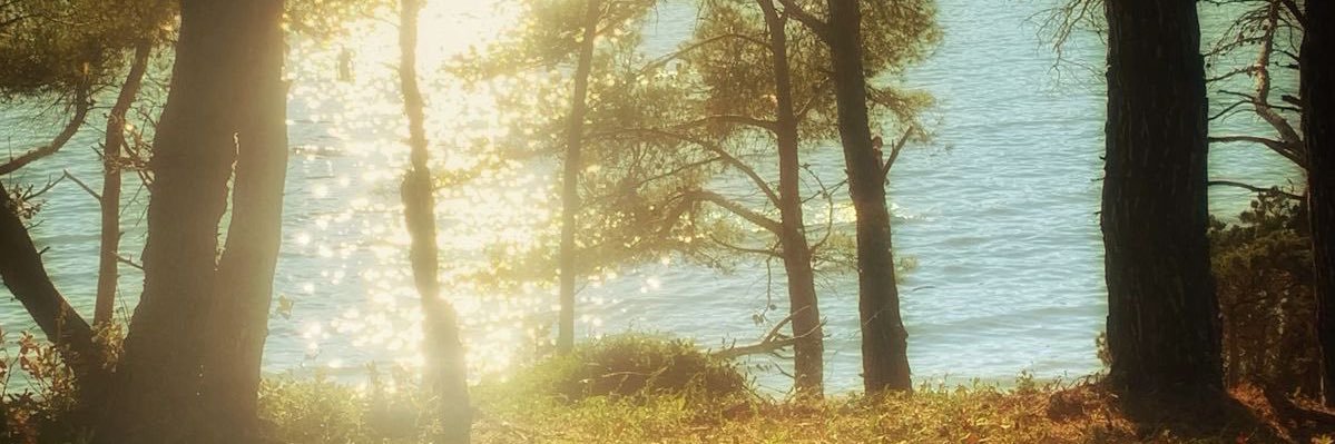 mrtnalim's profile banner image