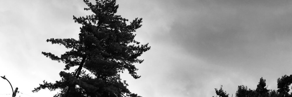 morgankisseee's profile banner image