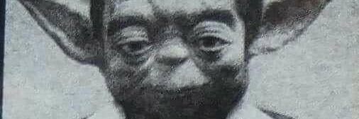 mausberri banner