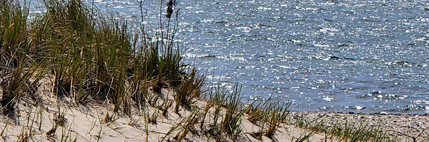 Nancy Foster banner