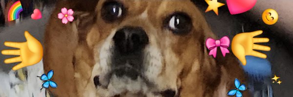 ebazii Profile Banner