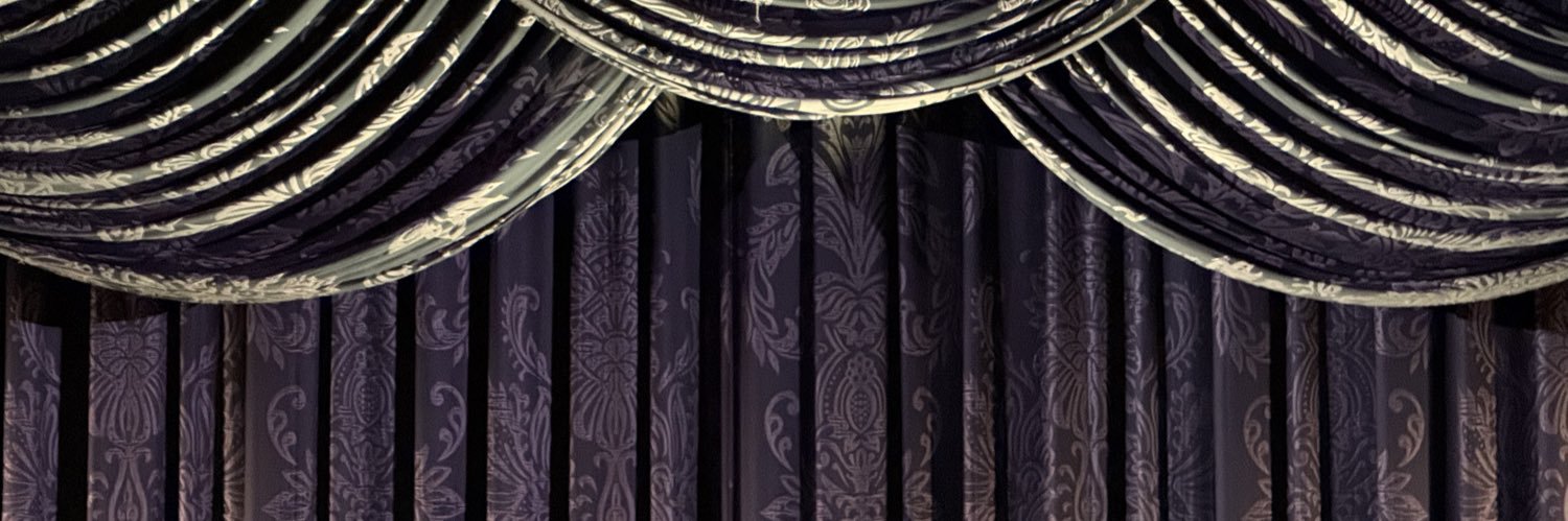 disneystage's profile banner image