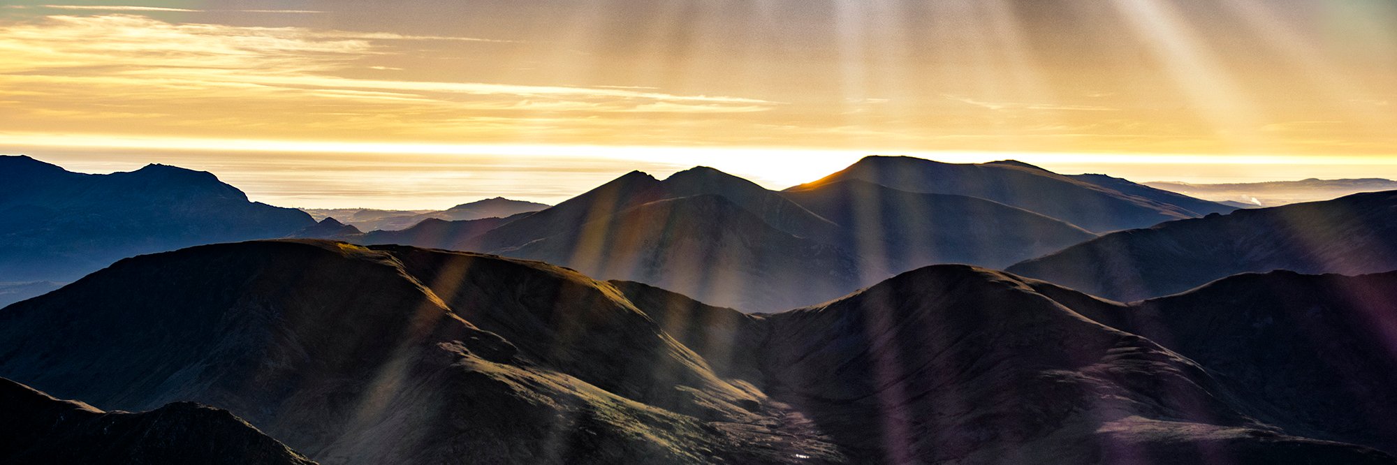 wildwales's profile banner image