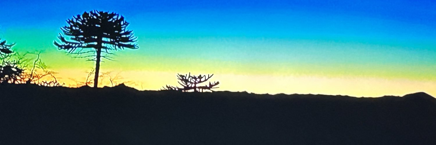 DebBerry2014's profile banner image