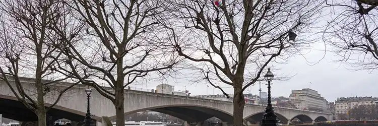 joaohoebert_'s profile banner image