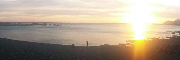 BritInWgtn Profile Banner