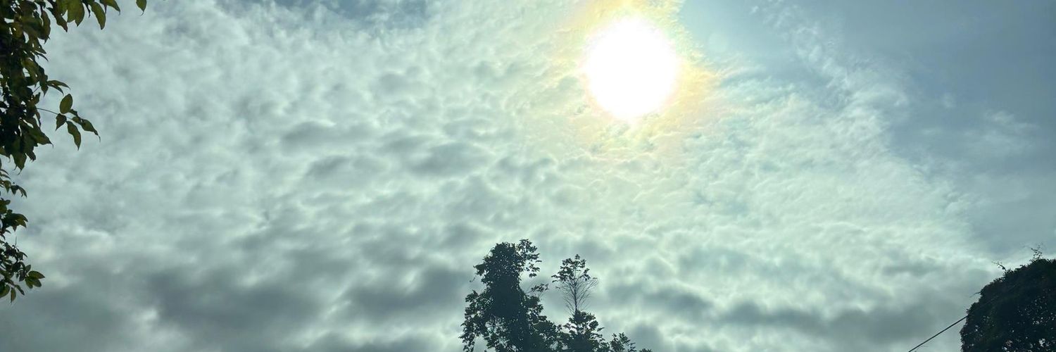 Ninesierra's profile banner image