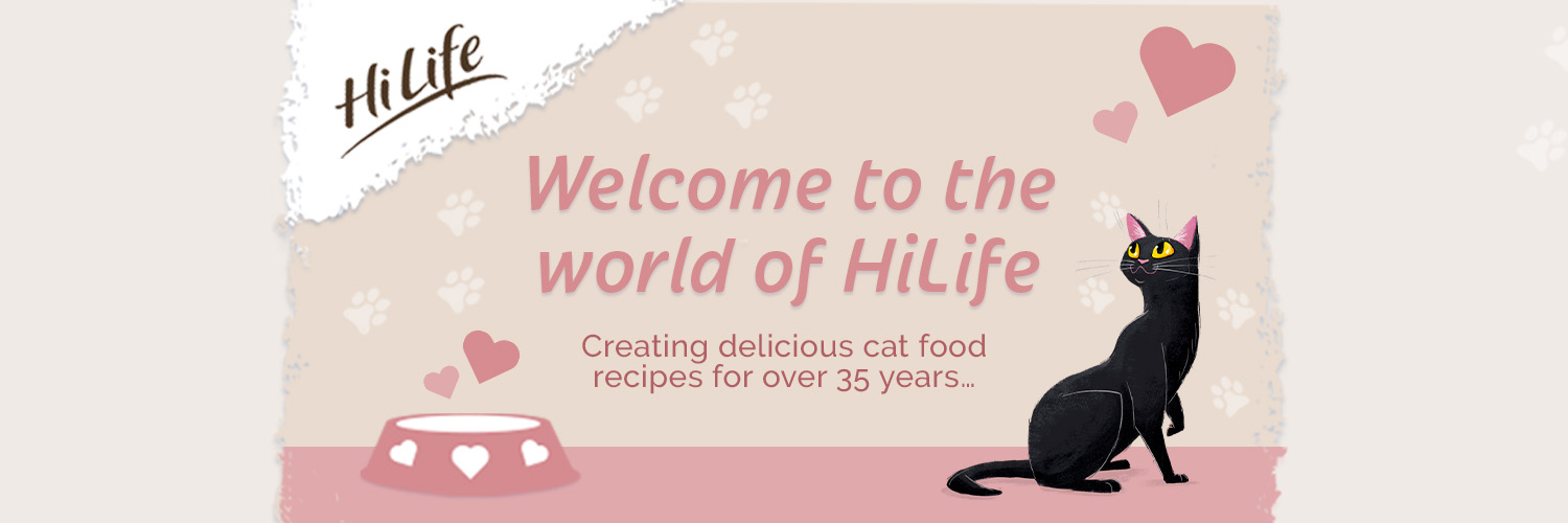 HiLifeCat's profile banner image