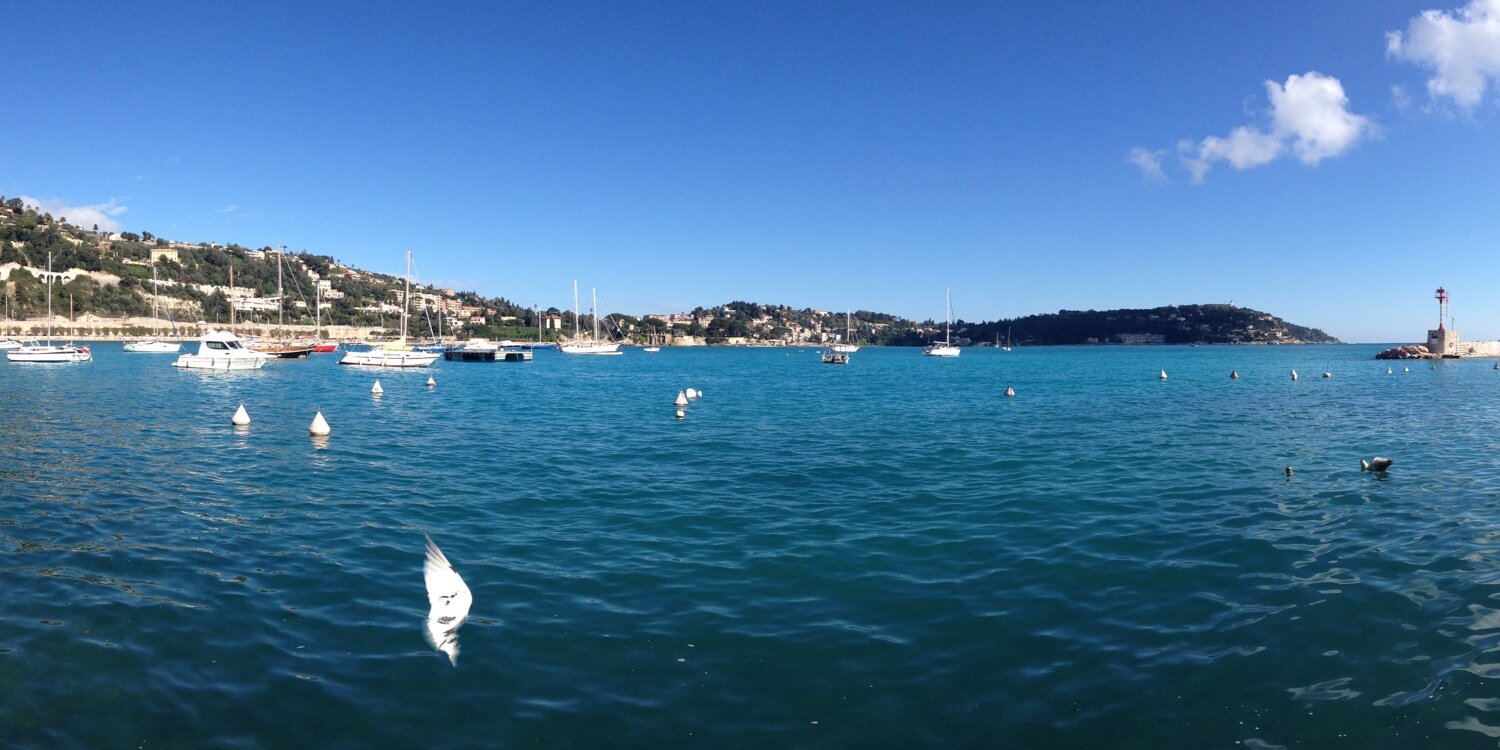 Francesca Pathak banner