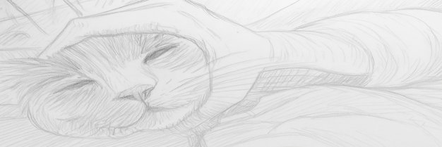 Lucas banner