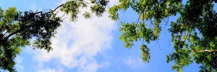 bethiinii's profile banner image
