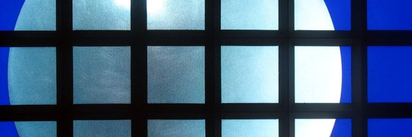ewout Profile Banner