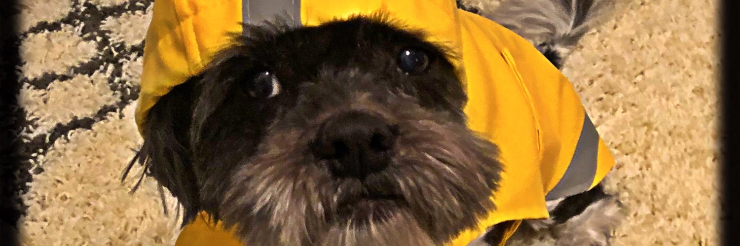 ThatDogFSU's profile banner image