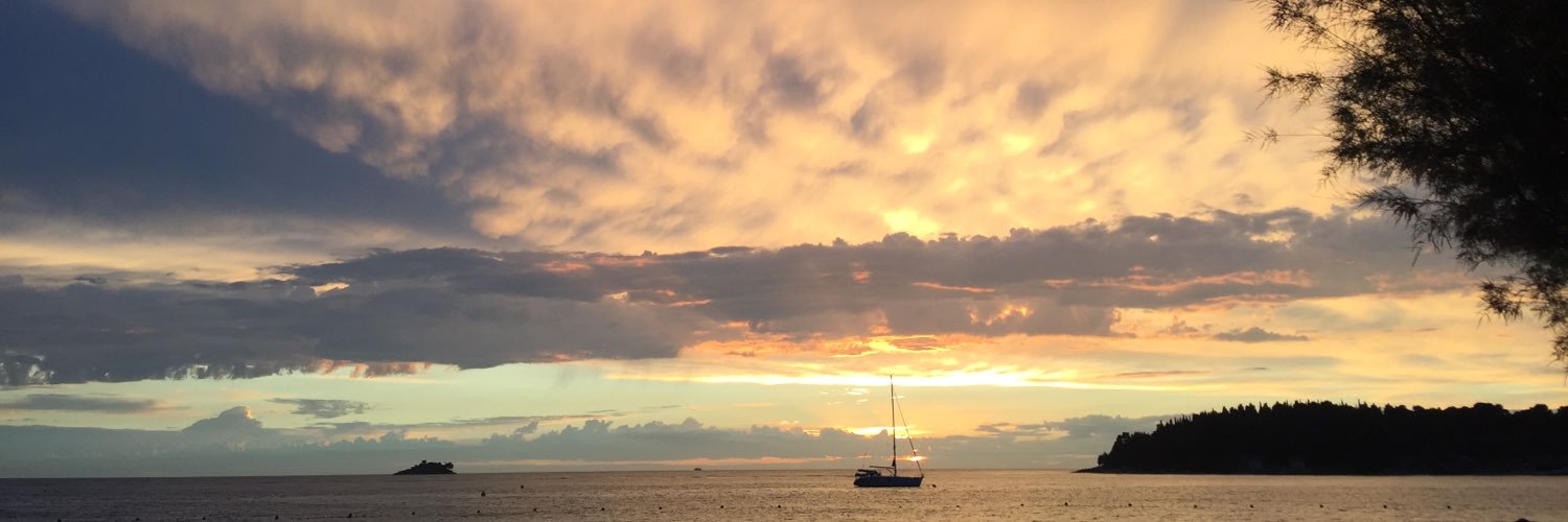 Anna Alimenkova banner