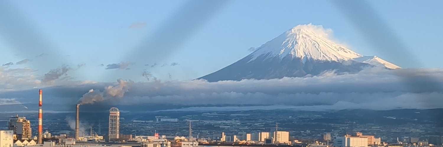 Voluntary Japan banner