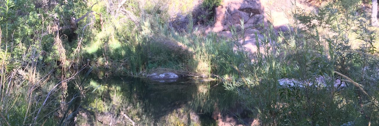 Kristin Fischer banner