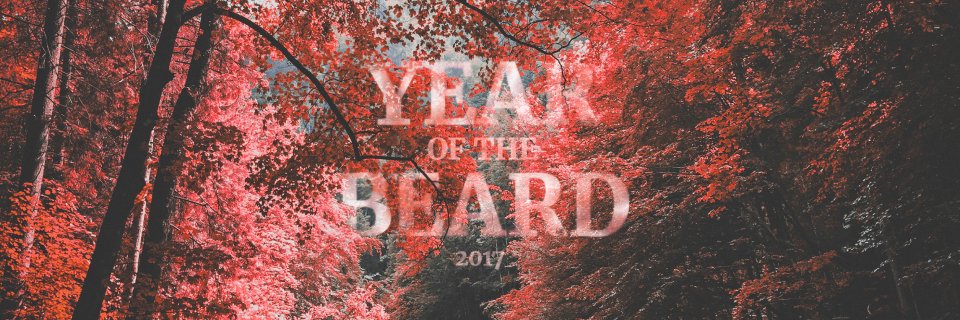Beard_and_bones's profile banner image