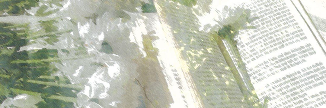 vernalechoes_hw's profile banner image